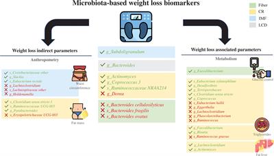 The microbiota composition drives personalized nutrition: Gut microbes as predictive biomarkers for the success of weight loss diets